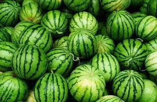 黑料吃瓜群入口