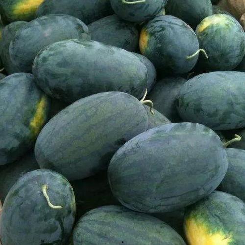 国产黑料tz吃瓜地址,tz吃瓜事件背后的真相与争议